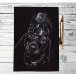 Kisállat portré fotóról fekete alapra