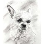 Kutya portré fotóról