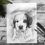 Kisállat portré fotóról