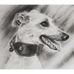 Kisállat portré fotóról